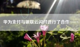 华为支付与银联云闪付进行了合作……