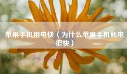 苹果手机用电快（为什么苹果手机耗电很快）