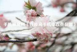 手机被窝网（在被窝手机中收费在哪）