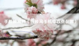 手机被窝网（在被窝手机中收费在哪）