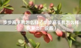 步步高手机怎么样（步步高手机怎么样恢复出厂设置）