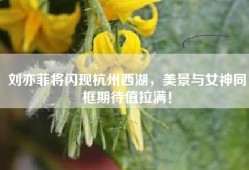 刘亦菲将闪现杭州西湖，美景与女神同框期待值拉满！