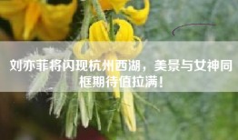 刘亦菲将闪现杭州西湖，美景与女神同框期待值拉满！