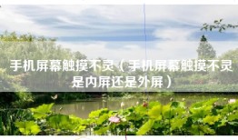 手机屏幕触摸不灵（手机屏幕触摸不灵是内屏还是外屏）