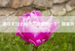 通联支付上线“支付宝碰一下”新服务