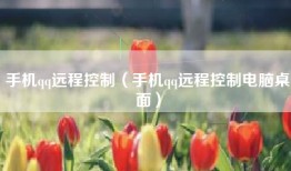 手机qq远程控制（手机qq远程控制电脑桌面）