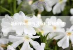 清明节有哪些习俗和传统食物