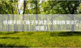 铁锤手机（锤子手机怎么强制恢复出厂设置）