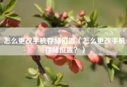 怎么更改手机存储位置（怎么更改手机存储位置？）