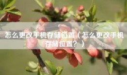 怎么更改手机存储位置(怎么更改手机存储位置?)