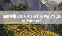 如何使用《磁力宅》软件进行幻灯片动画效果设置？