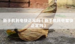 新手机耗电快正常吗（新手机耗电量快正常吗）
