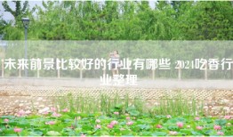 未来前景比较好的行业有哪些 2024吃香行业整理