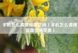手机怎么清理磁盘空间（手机怎么清理磁盘空间苹果）