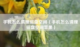 手机怎么清理磁盘空间（手机怎么清理磁盘空间苹果）