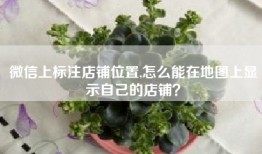微信上标注店铺位置,怎么能在地图上显示自己的店铺？