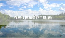 在线代理和缓存工具(转)