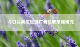 今日头条信息流广告投放策略研究
