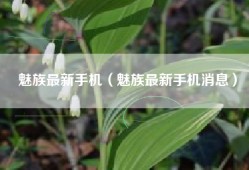 魅族最新手机（魅族最新手机消息）