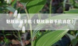 魅族最新手机（魅族最新手机消息）