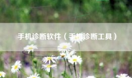 手机诊断软件（手机诊断工具）