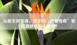从医生到导演，饺子的‘跨界传奇’如何激励年轻人追梦？