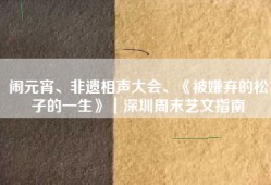 闹元宵、非遗相声大会、《被嫌弃的松子的一生》｜深圳周末艺文指南