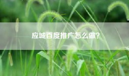 应城百度推广怎么做？
