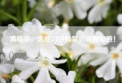 清明节，这些习俗和禁忌你要知道！