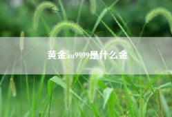 黄金au9999是什么金