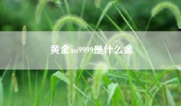 黄金au9999是什么金
