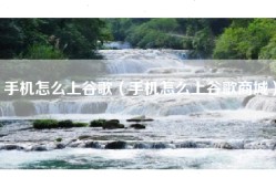 手机怎么上谷歌（手机怎么上谷歌商城）