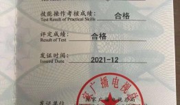 自媒体运营师证书(全媒体运营主要做什么)