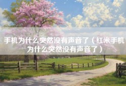 手机为什么突然没有声音了（红米手机为什么突然没有声音了）