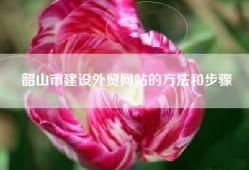 韶山市建设外贸网站的方法和步骤