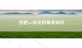 合肥seo优化的基本知识