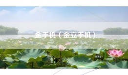 金手机（金立手机）