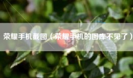 荣耀手机截图（荣耀手机的图库不见了）