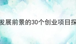 有发展前景的30个创业项目探索