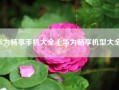 华为畅享手机大全（华为畅享机型大全）