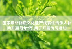 国家级非物质文化遗产代表性传承人补助升至每年2万 用于开展传习活动