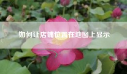 如何让店铺位置在地图上显示