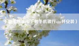 下载手机上（下载手机银行app并安装）