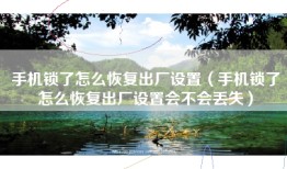 手机锁了怎么恢复出厂设置（手机锁了怎么恢复出厂设置会不会丢失）