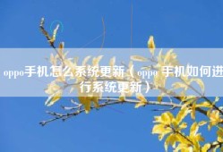 oppo手机怎么系统更新（oppo 手机如何进行系统更新）
