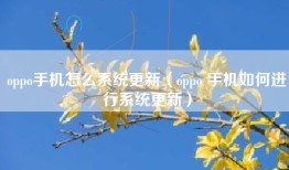 oppo手机怎么系统更新(oppo 手机如何进行系统更新)