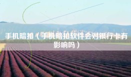 手机暗扣（手机暗扣软件会对银行卡有影响吗）