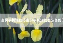 备份手机短信（备份手机短信怎么备份）