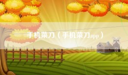 手机菜刀(手机菜刀app)