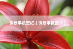 夜景手机壁纸（夜景手机图片）